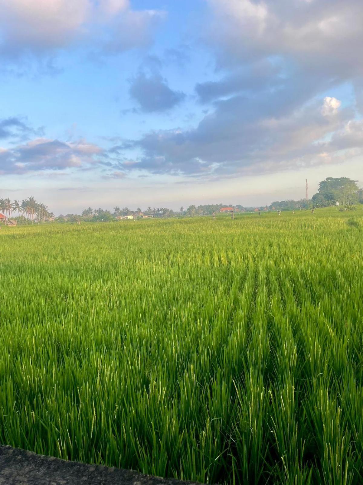 Arbathu Villa Ubud 外观 照片